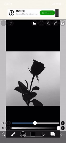 searching_for_black on TikTok