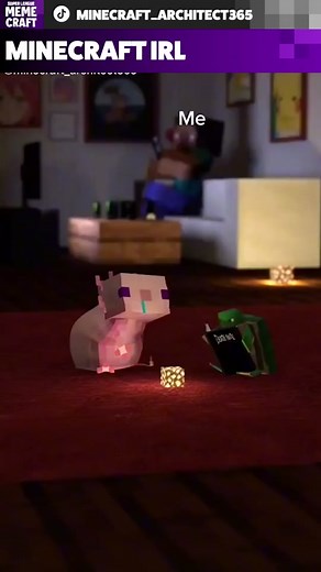 Funniest Minecraft Axolotl Memes and Math Jokes Compilation