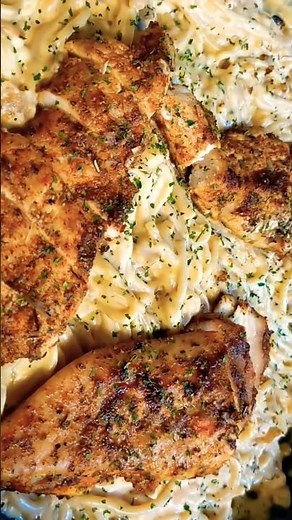 The Best Chicken Fettuccine Alfredo Pasta