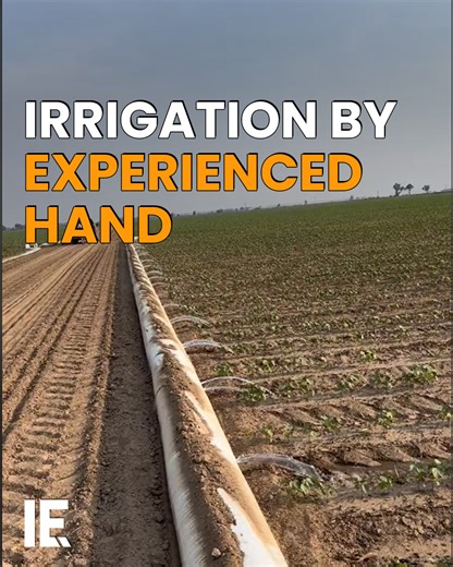 522K views · 355 reactions | Smart farming is all about getting the best result through the best technology. Sometimes, that involves complex technology - sometimes, not. Choosing where irrigation holes are needed is sometimes best done by eye. | Interesting Engineering | Facebook