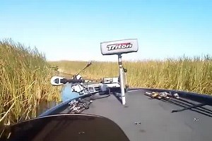 Close call! Fishing, Hunting & The Outdoors - Like Us╰▶ Hunter & fishing | Hunter & fishing