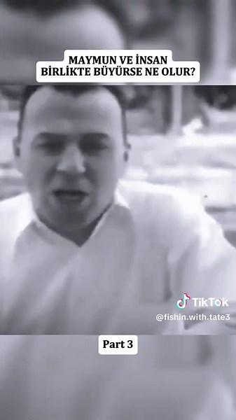 Maymun ve İnsan Birlikte Büyürse Ne Olur?