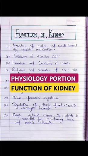Function of Kidney | kidney function | renal physiology | Kidney anatomy #shorts
