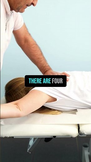 What Do You Have to Do to Be a Chiropractor!