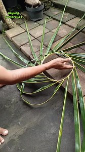 5.5K views · 1.4K reactions | Cara membuat payung(umbrella) dari daun kelapa. Request by Hendra Wiadnyana #tutorial #kreasijanur #anyamandaunkelapa #payung #umbrella #idekreatif #kerajinantangan #diy #handmade #coconutleafcraft #palmleafart Dewa Ayu Triana Dewi | Dwija PanJavas | Facebook