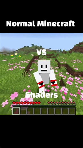 Minecraft shaders vs No shaders #minecraft #shaders
