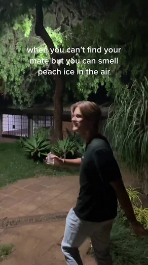 Finding Your Mate with Elf Bar Iced Peach Flavor