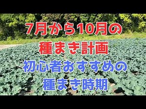 いつも種まき時期がわからない方おすすめ 秋冬野菜の作付け計画