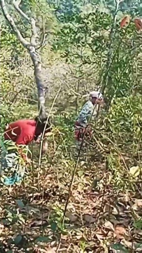 reels Garo songs by modil Marak. #shortvideo . #whowillbemylifepartnerta