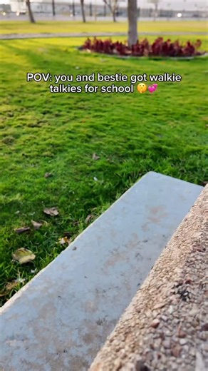 Pockify™ on Instagram: "need these to talk in class fr 😭🤫"