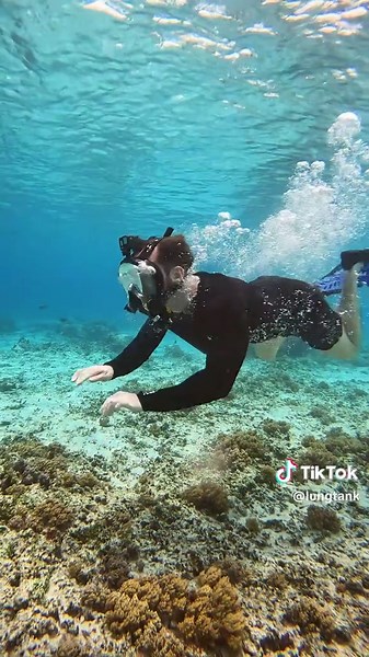 Exploring the Ocean: Memorable Snorkeling Experiences