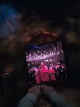 Is this the best Harry Potter Ride ever? Harry Potter Forbidden Journey POV #harrypotter