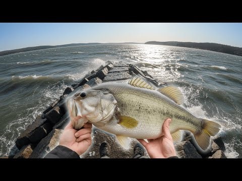 December Wind = December Win: Why Wind-Blown Banks Are Absolute Fire Right Now