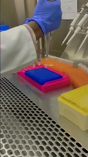 Extraction for PCR