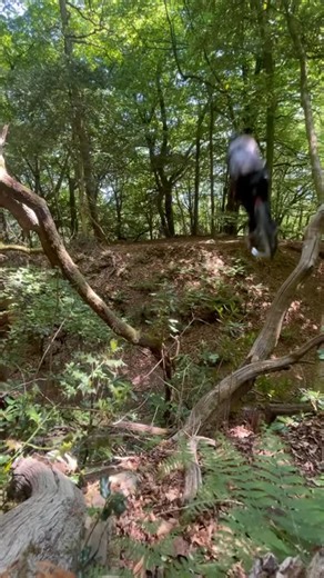 Muc-Off on Instagram: "Don’t fog it up! See clearly and shred harder with our Premium Anti-Fog Treatment. Simply spray and wipe for five days of clear coverage and steamless vision. Great for goggles and @pitviper ‘s love it too. #mucoff #fogoff #fail #crash"