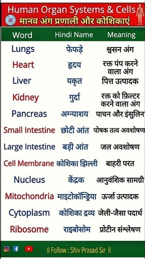 Human Organ Systems & Cells | English Vocabulary with Hindi Meaning | Learn Biology Vocabulary