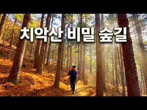 [걷기좋은 길] 원주 굽이길 한가터 잣나무숲길, 힐링 가득한 숲속 걷기 | Wonju Hangateo Korean Pine Forest Trail