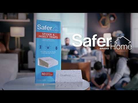 Safer Home Spider & Insect Traps