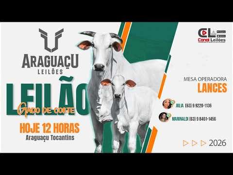 2º Leilão Especial Cabeceira da Desmama | Sind. Rural de Araguaçú | Araguaçú-TO 25/04/2026