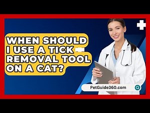 When Should I Use A Tick Removal Tool On A Cat? - PetGuide360.com