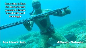 18K views · 67 reactions | Sea Hawk Sub on Reels | Facebook