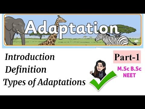 Adaptations-Introduction,Define,Adaptations types ,levels of adaptations significance of body size.