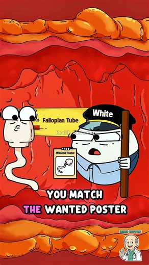 Healthcartoons on Instagram: "When Your Immune System Attacks Sperm 😱 . . . . . . . . . . . . #infertility #animation"