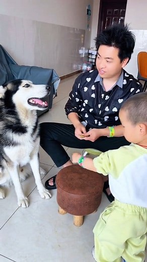 2.4M views · 10K reactions | Funny Dog 藍! [Part 8] #funny #fun...