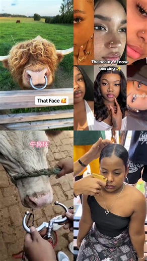 Vidéos de BASSIROU DIANDA (@dianda.power) avec VVS - Ninho