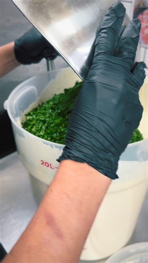 Riip Beer Co on Instagram: "Brewing up a fresh batch of ranch—over 100 gallons a week, all made from scratch. 🌿 Fresh-chopped herbs, dill, chives, parsley, and subtle Japanese umami flavors come together to create something special. Our pizza is so good you don’t need ranch… but this stuff is unreal. Even people who swear they don’t like ranch usually end up converts. Handmade daily by our incredible prep team. You can taste the care in every batch. 🍕 #Foodie #FoodPorn #CraftFood #FlavorFirst 