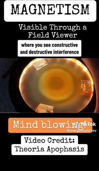 Exploring Magnetism Through Field Viewer!