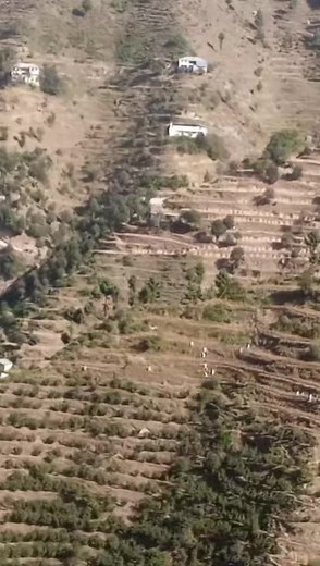 Terraced Agriculture: A Stunning Hillside View