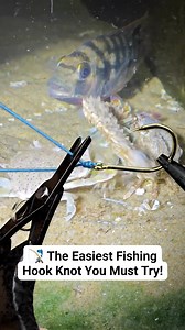 69K views · 125 reactions | The Strongest Fishing Hook Knot You Must Try!  Deskripsi: Never lose a fish again! Learn this simple but powerful fishing hook knot that every angler should know. Perfect for beginners and pros.  Watch till the end and try it yourself! #fishing #fishinglife #fishingknot #angler #fyp #viralvideo #fishontheline #hooktie #fishingtutorial #fypfishing #fishinglover #reelvideo #outdoorlife | Akhim SiOneng | Facebook