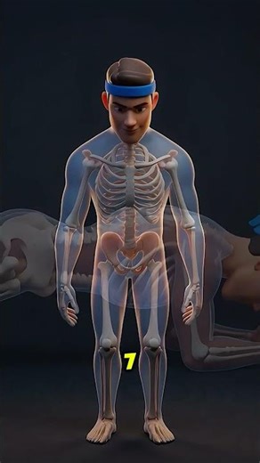 30 Days of Plank — What Really Changes?