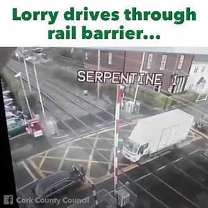 41K views · 52 reactions | Top to toe in tail backs... | The Irish Post | Facebook