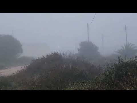 Fog, Fog And More Fog!