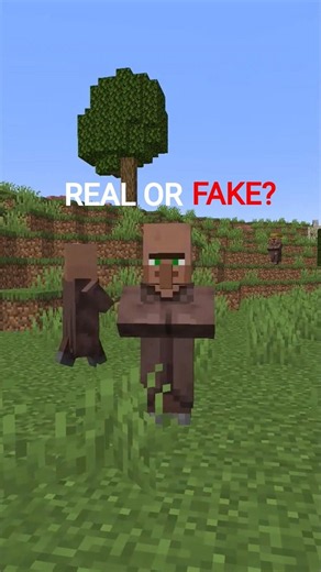 Can Villagers Breed Without Beds? 🤯🛏️#Minecraft#MinecraftShorts#Villager#MinecraftMyths#BearieMan