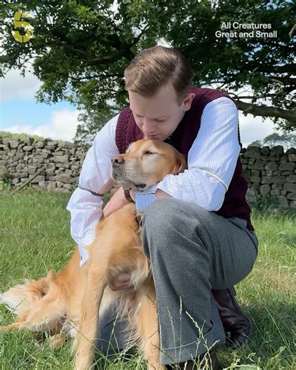 Meet Ernie, one of the great method actors of our time! 🐶 He plays Jess and appears to be Callum Woodhouse's favourite member of the cast. We won't tell the others 🤭 All Creatures Great And Small. 25th September 9pm. Watch | Stream on 5 | Channel 5
