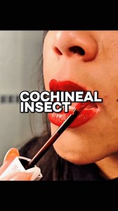 30K views · 510 reactions | COCHINEAL INSECT | INFO UNIK | Facebook
