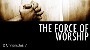 Watch online The Force in english with subtitles in 2160 16:9