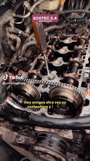 TikTok - Make Your Day