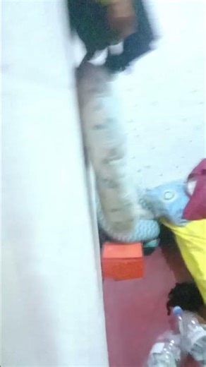 what the you are my everything you need JavaScript enabled aku