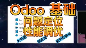 Odoo性能调优，火焰图，Postgresql问题定位，慢查询、索引、事务。中文字幕