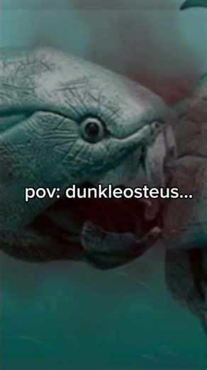 The Dunkleosteus. #extinctcreatures #prehistoriclife #prehistoriccreatures #devonian #dunkleosteus