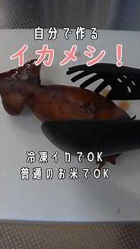 【自宅で北海道フェア開催！】イカメシ作れます。安い冷凍のイカを使って、普通のお米に一工夫でモチモチに！フライパンで作っちゃいます。 #料理 #まいにちごはん#いかめし#簡単調理 #煮る #料理動画