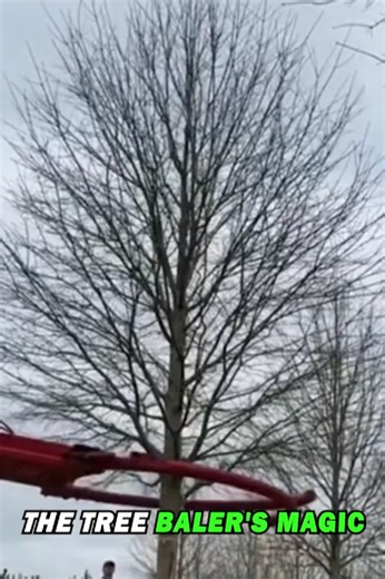 The Tree Baler | Trend Rush