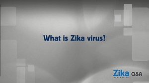 470K views · 12K shares | What is #ZikaVirus? Is there treatment? Should I avoid travelling to areas where #Zika virus is occurring? What can I do to protect myself and my family? | World Health Organization (WHO) | Facebook