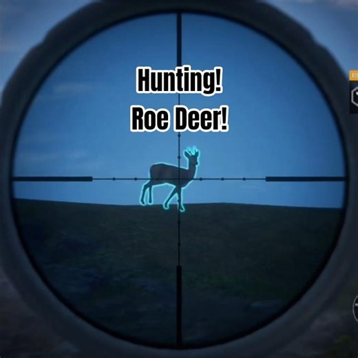 Hunting Roe Deer / TheHunter Call Of The Wild / #thehuntercallofthewild #hunting #short