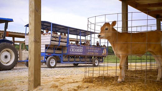 Tours & Parties - Simply Natural Creamery