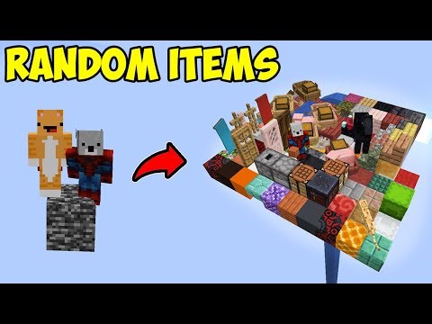 Minecraft But Every 10 Seconds a Random Item Spawns
